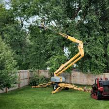 Best Lawn Grading and Leveling  in Erma, NJ