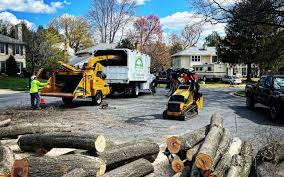 Best Leaf Removal  in Erma, NJ